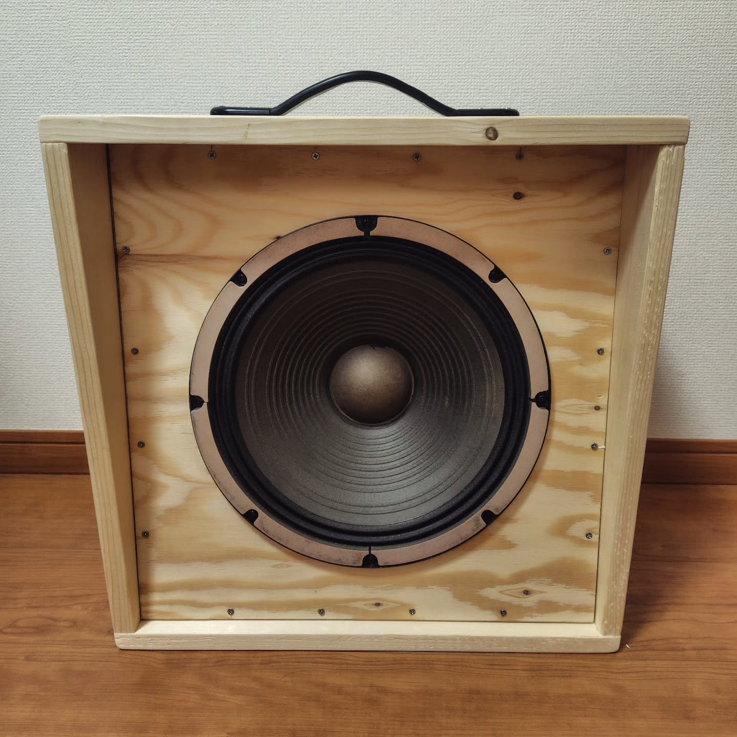 Amp Cabinet Naked